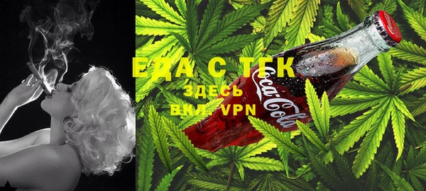 индика Абинск