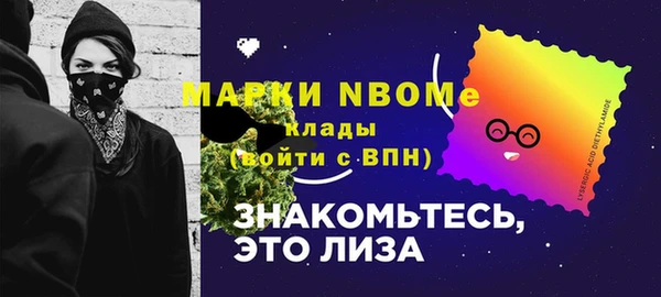 индика Абинск