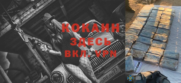 индика Абинск