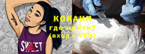 индика Абинск