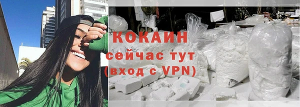 индика Абинск